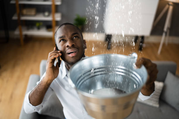 Best Carpet water damage restoration  in Kenmore, WA