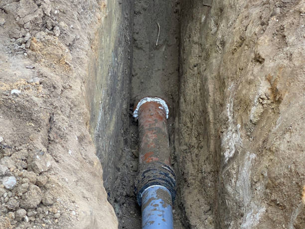 Local water damage restoration in WA