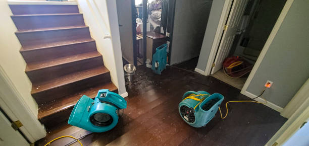 Best Water damage restoration services  in Kenmore, WA