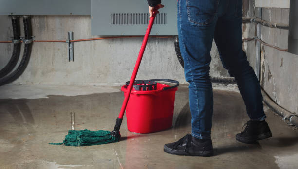 Best Water damage restoration near me  in Kenmore, WA
