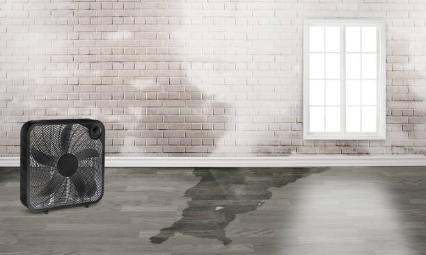 Best 24/7 water damage repair  in Kenmore, WA