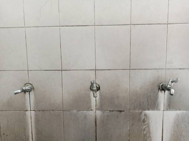 Best Sewage cleanup and water damage restoration  in Kenmore, WA