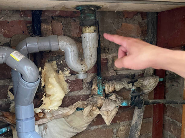 Best Flooded house restoration  in Kenmore, WA